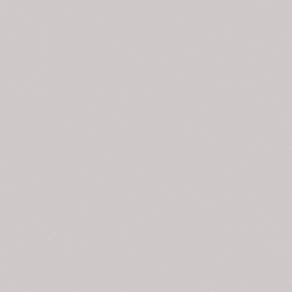 Fashion Grey