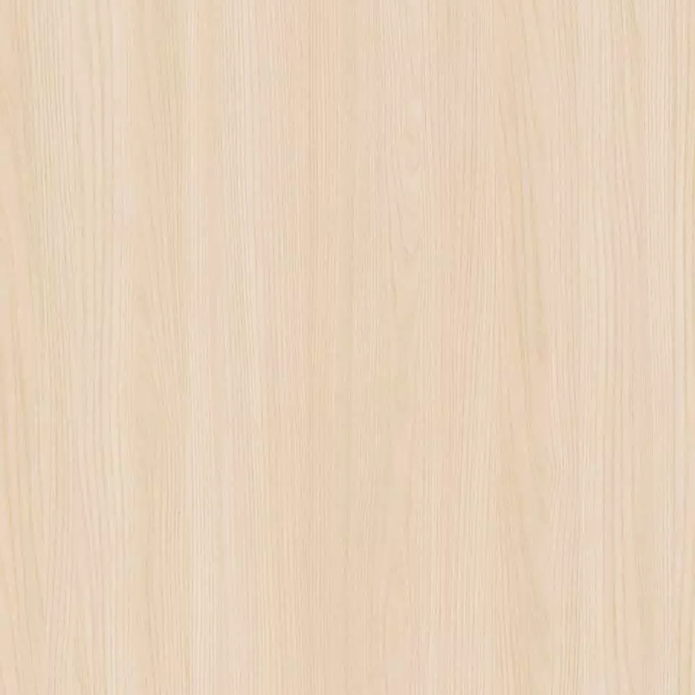 Field Elm