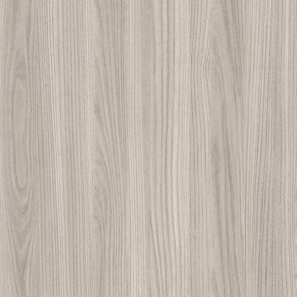 Grey Elm