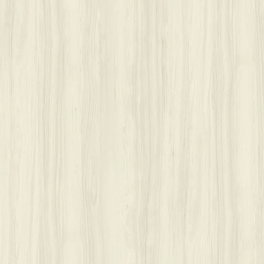 White Cypress
