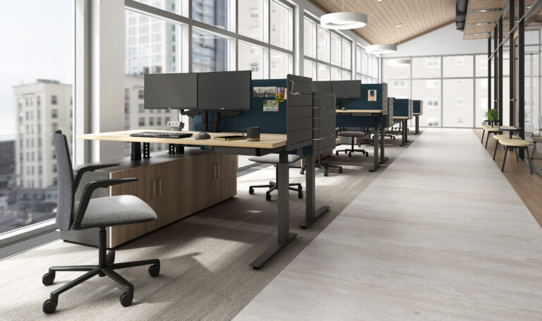 Zo Office