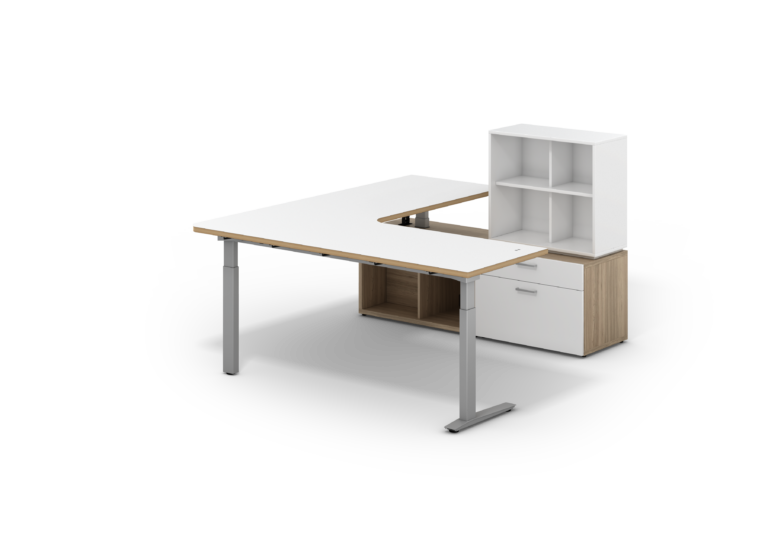 Zo Office