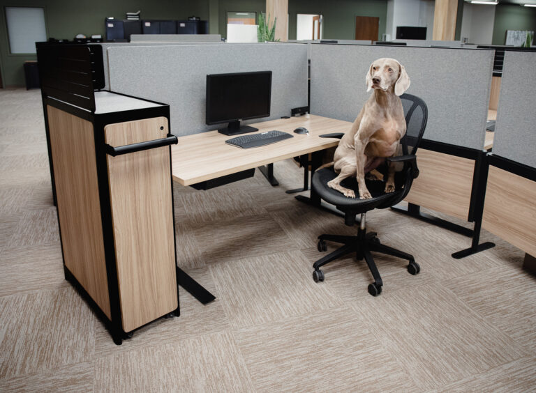 Essential Desk + Edison Senior Rail + C9 Storage